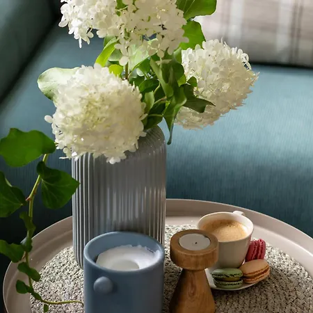 Ts Boutique Apartament *