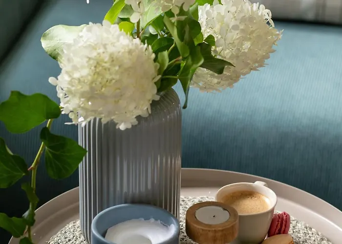 Ts Boutique Apartment *