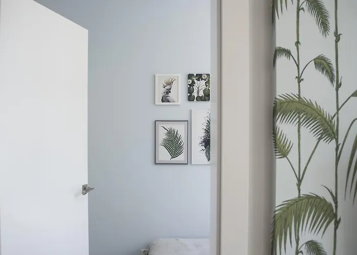 Ts Boutique Stettino